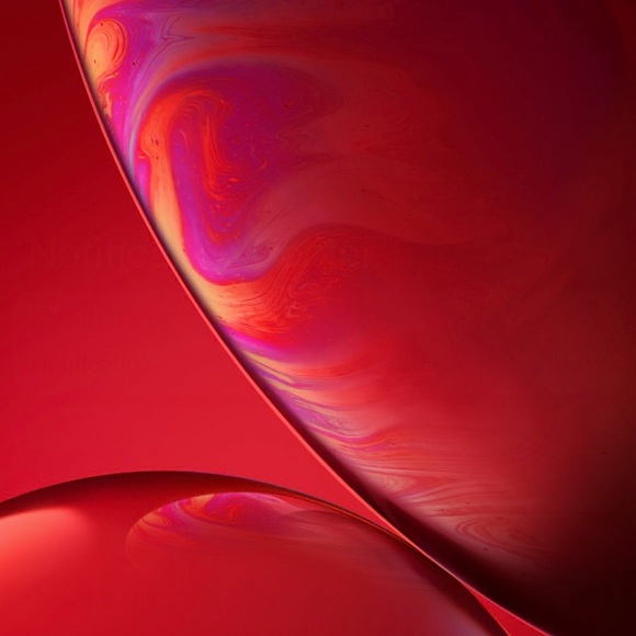 Meet your Posher, Yameli - Picture 1 of 1